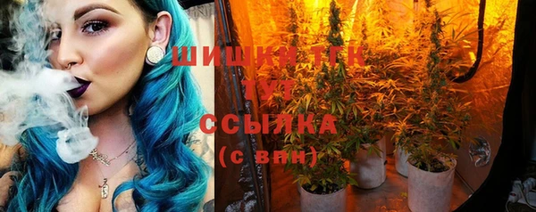 гашик Наволоки