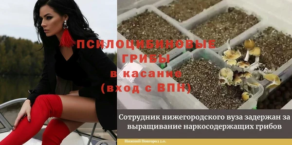 спиды Луховицы