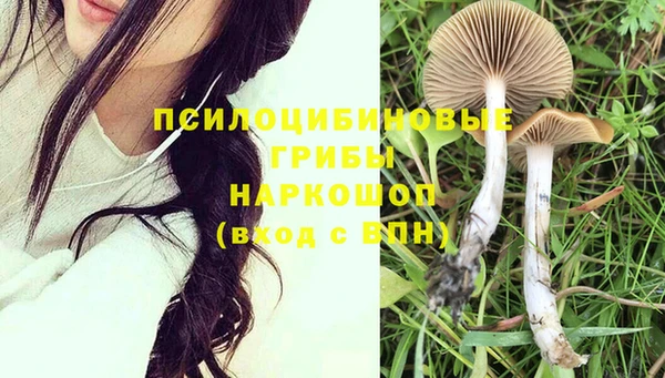 первитин Михайлов