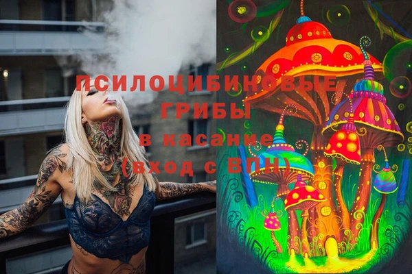ECSTASY Михайловск