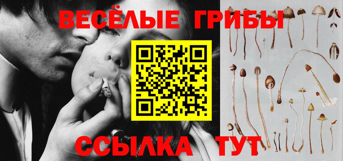 Миллерово  Псилоцибиновые грибы Psilocybe  Вход с VPN 